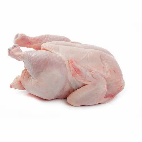Whole Chicken, Size 16