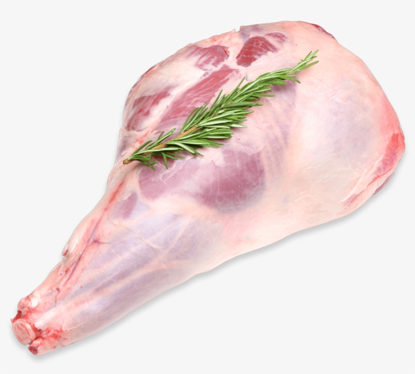Lamb Leg